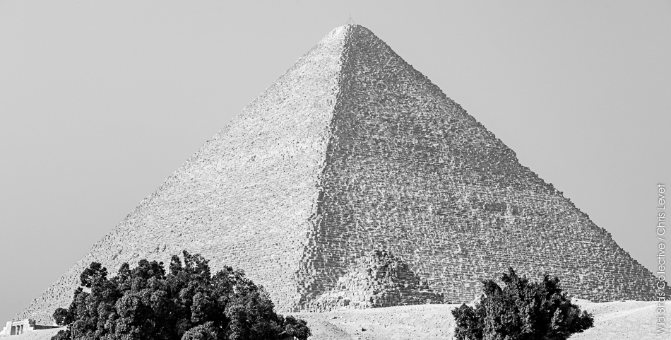 Pyramide de Kheops à Gizeh