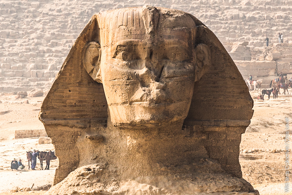 Le Sphinx à Gizeh