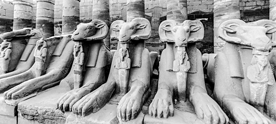 Complexe de Karnak Egypte