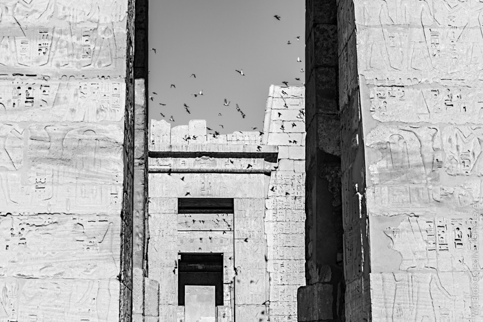Temple de Ramsès III Egypte