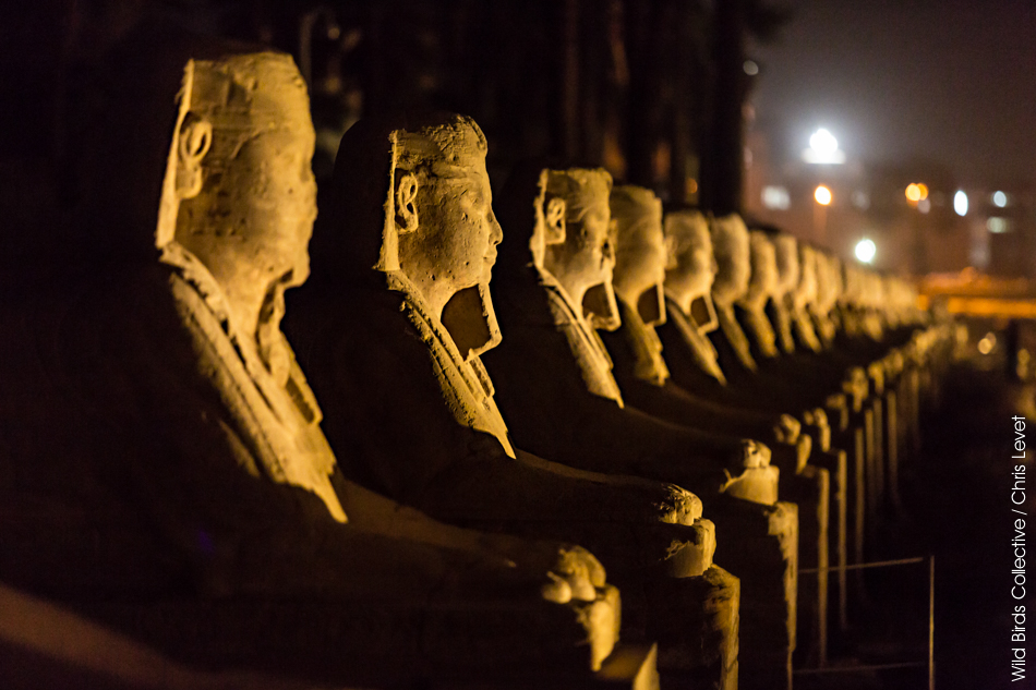 Allée des sphinx Louxor Egypte