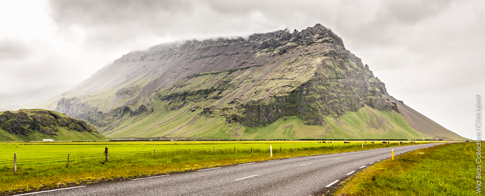 Route circulaire 1 Islande