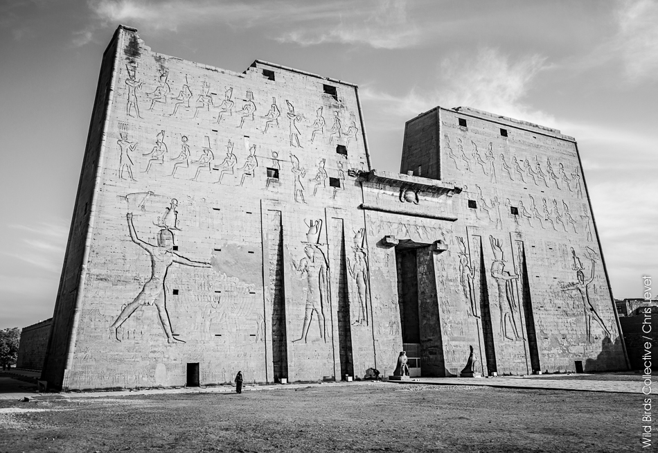 Egypte Temple d'Edfou