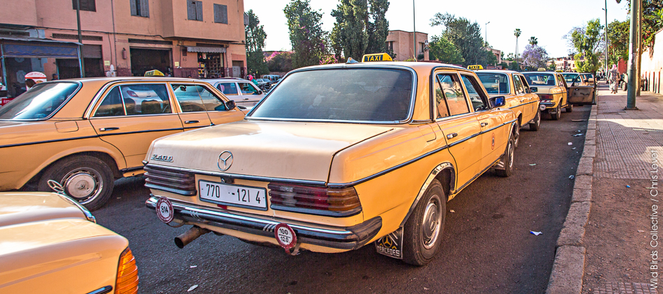 Taxis au Maroc
