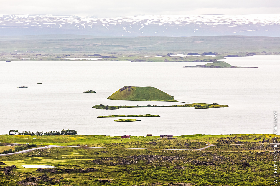 Myvatn Islande