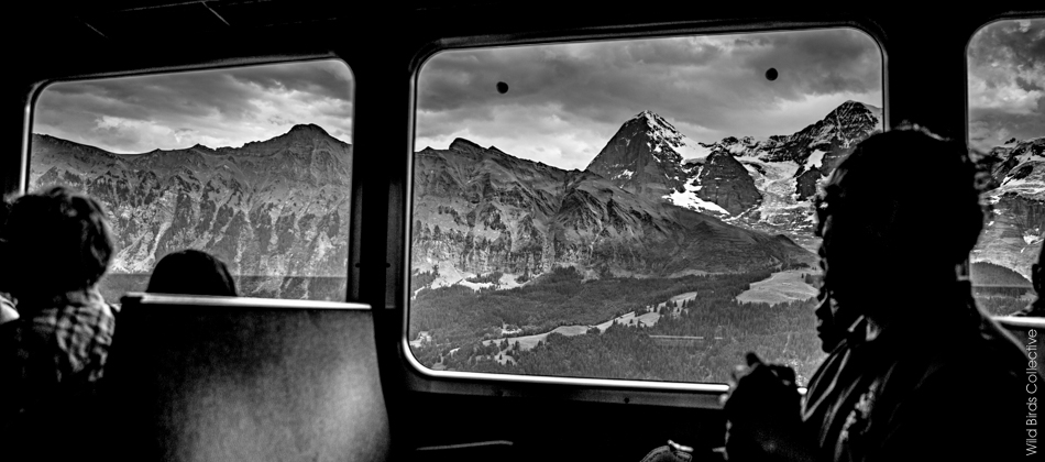 Trek Suisse Jungfrau