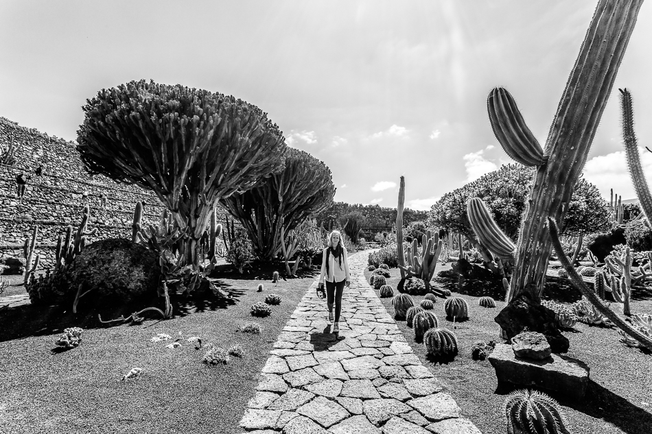 Jardin des cactus de Lanzarote