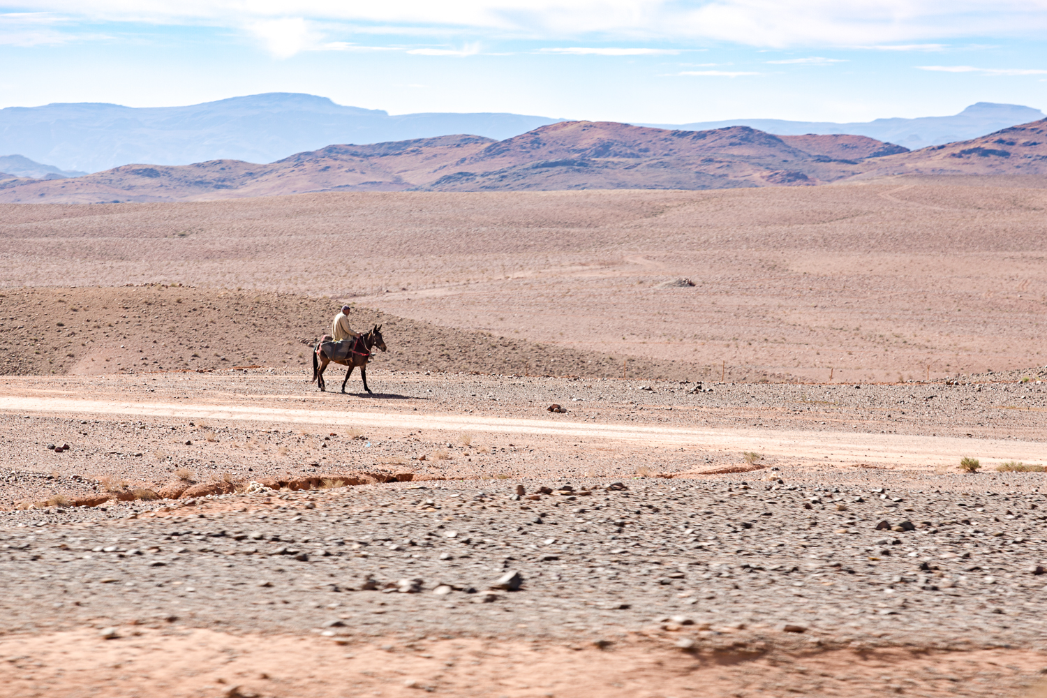 Homme sur une mule au Maroc