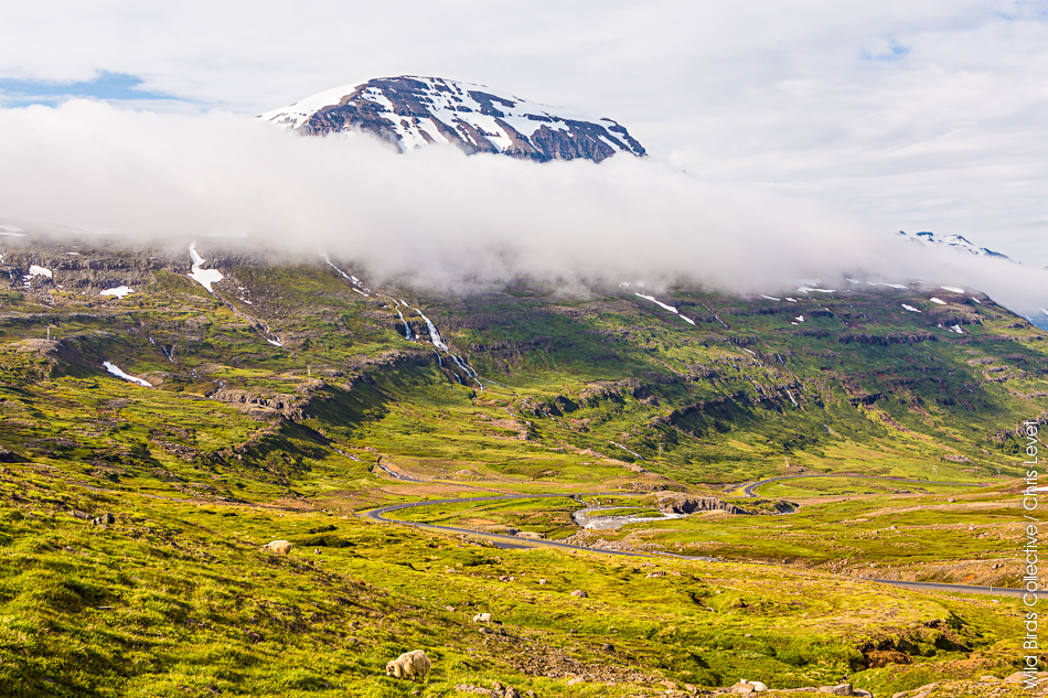 Islande Fjords de l'Est