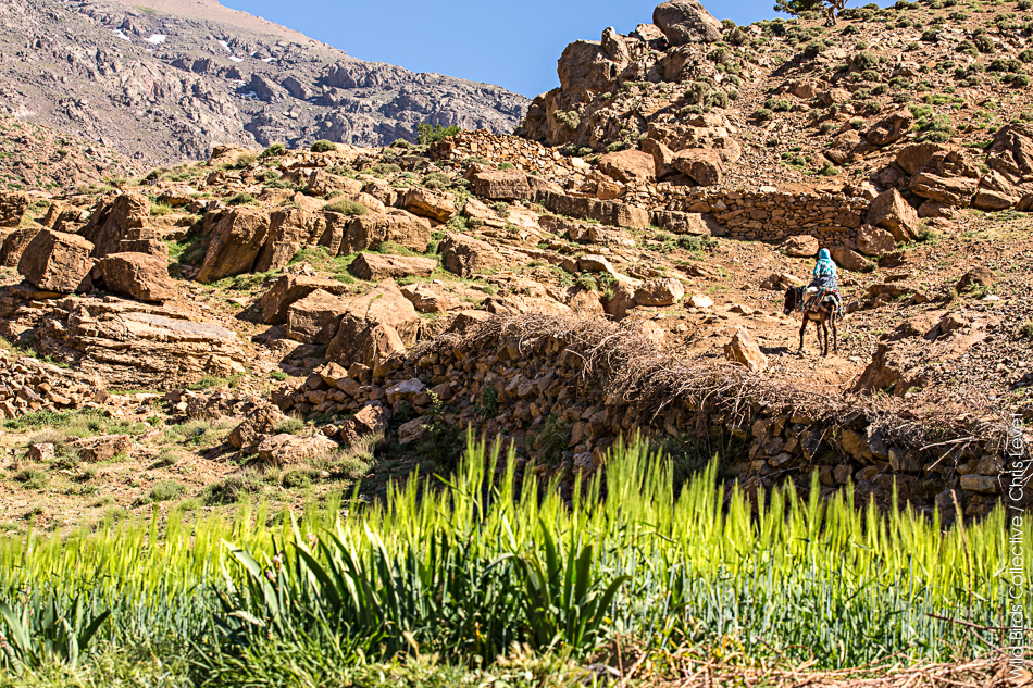 Trek Maroc Toubkal