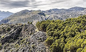 Parc naturel Sierra de las Nieves