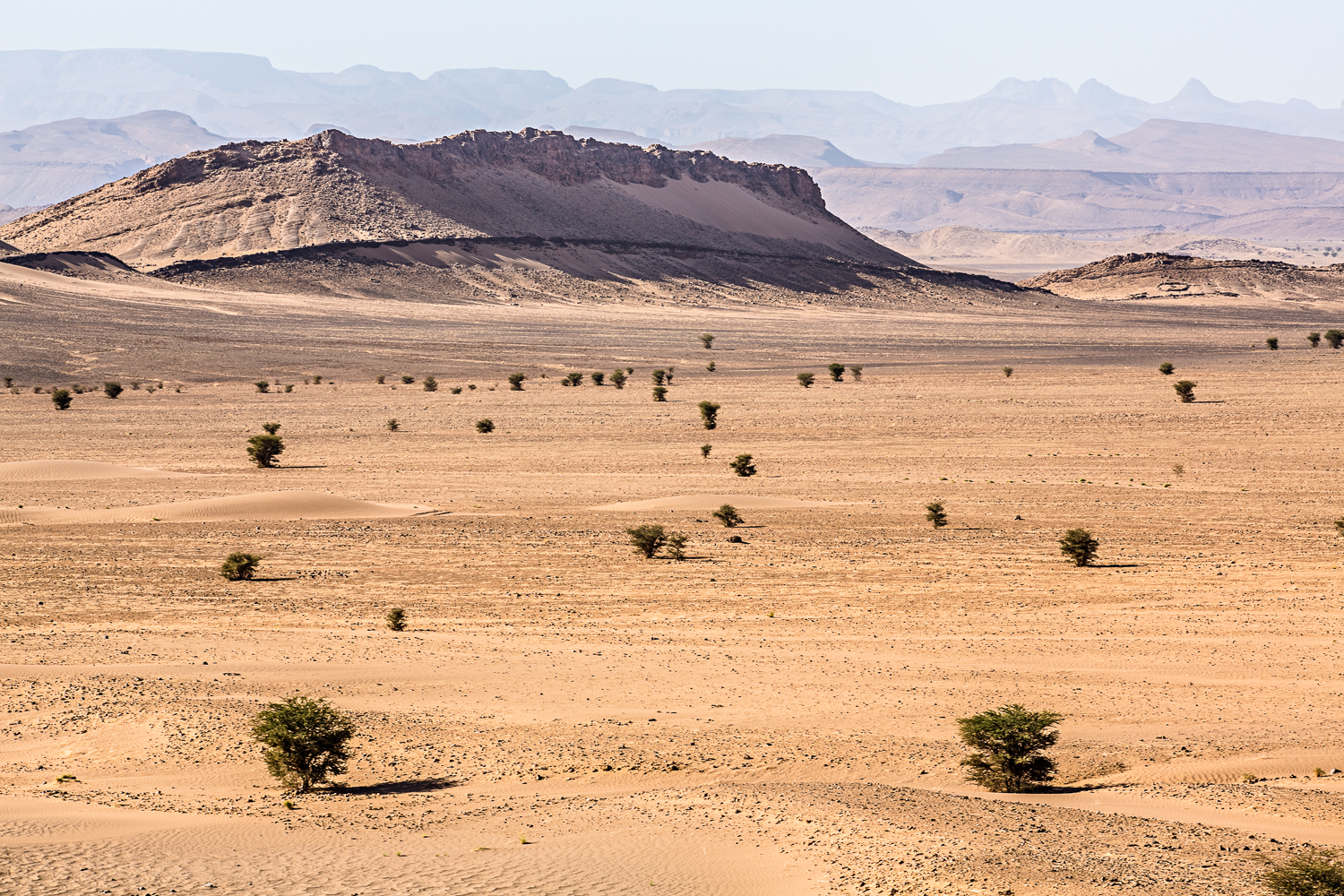 Vallée désertique au Maroc