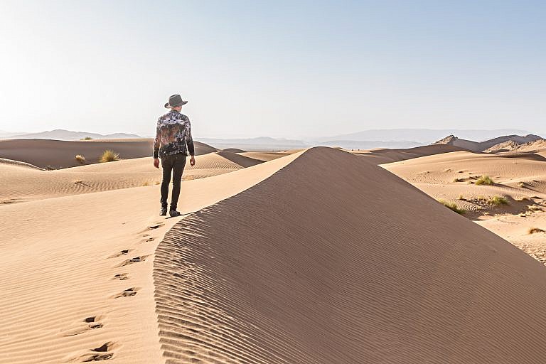 Dans L'ombre Des Dunes Lieu De Tournage Maroc : Les dunes de Foum Tizza | Wild Birds Collective