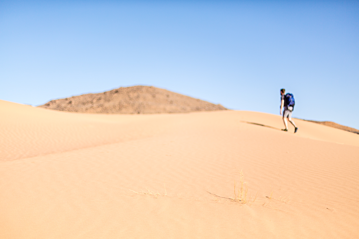 Dune près de Saredrar au Maroc