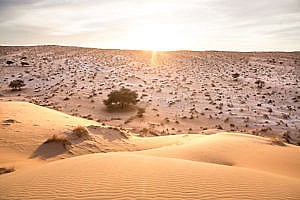 Coucher de soleil en Mauritanie