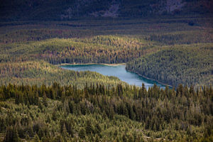 Lac Maligne Jasper Alberta Canada