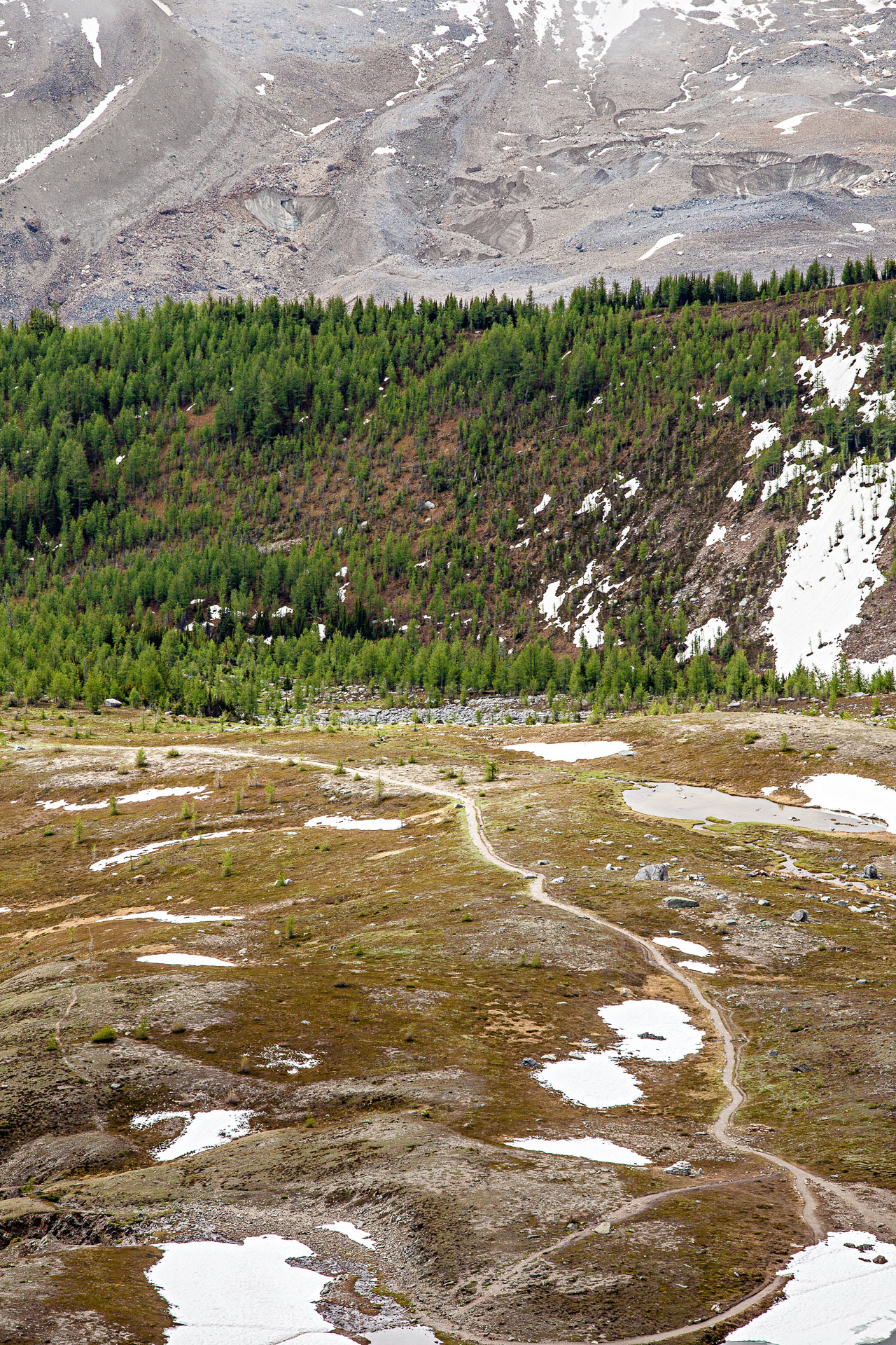 Sentinel Pass parc national de Banff Canada