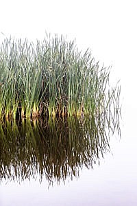Lac du Pêcher hôtel en Auvergne