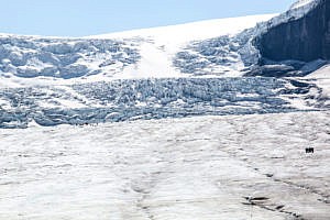 Glacier Athabasca promenade des Glaciers Canada