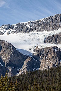 Glacier Crowfoot promenade des glaciers