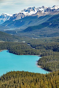 Lac Peyto promenade des Glaciers Canada