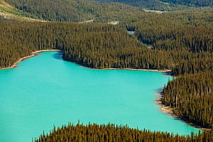 Lac Peyto promenade des Glaciers Canada