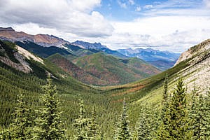 Sulphur Skyline Trail Jasper Canada Ouest