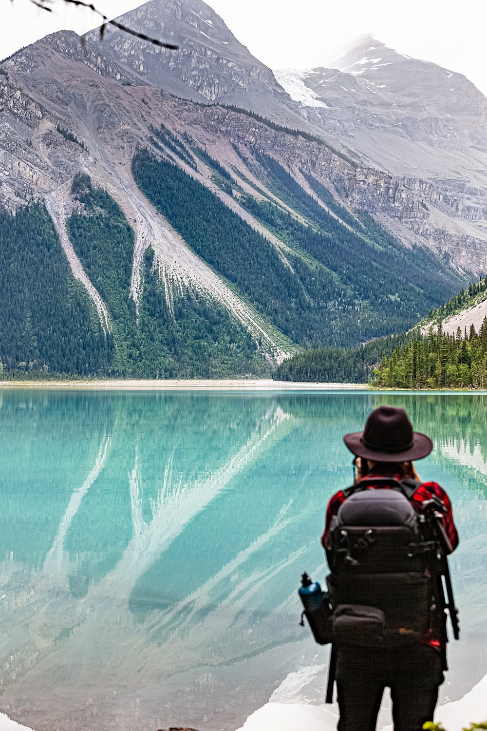 ColombieBritannique Les plus beaux lieux à visiter Wild Birds