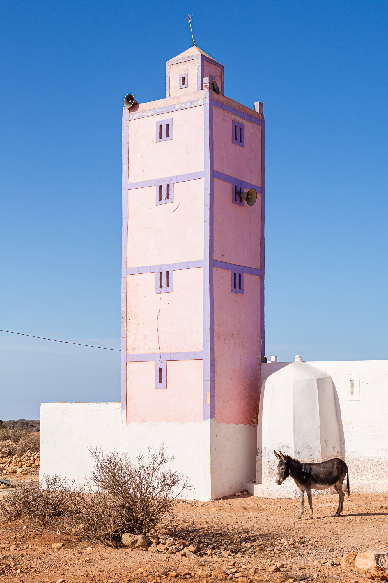 Trek au Maroc Agadir Essaouira âne