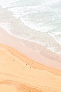 Trek au Maroc oiseaux sur la plage