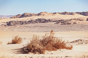 voyage en Jordanie Wadi Araba