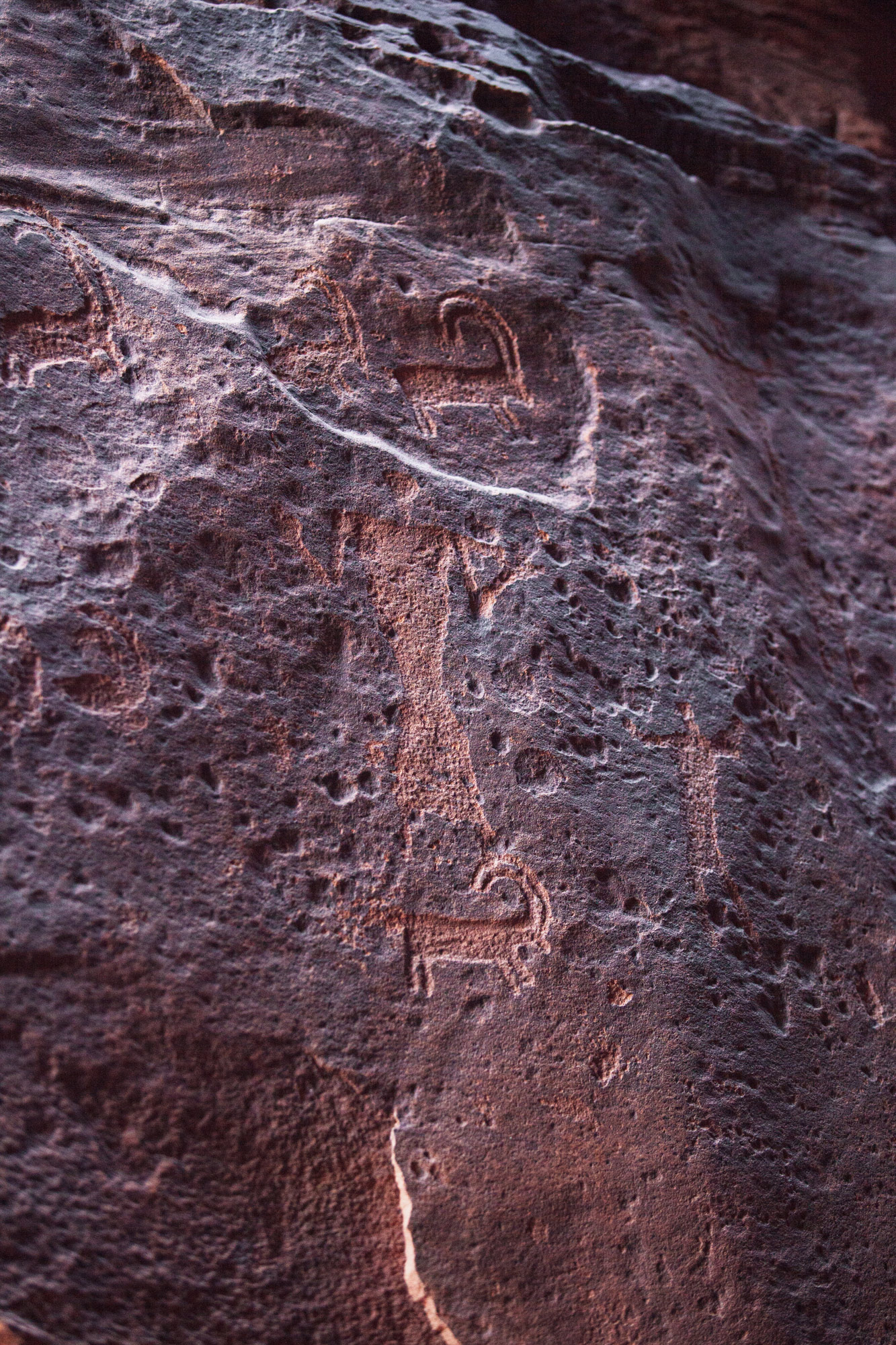 voyage en Jordanie Wadi Rum pétroglyphes